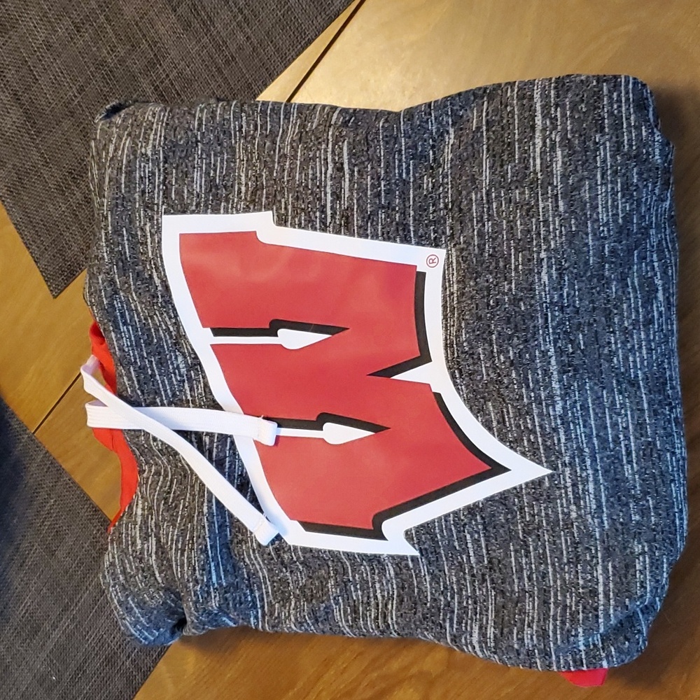 Wisconsin hoodie